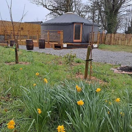 The Snowdrop Hotel Galway Kültér fotó